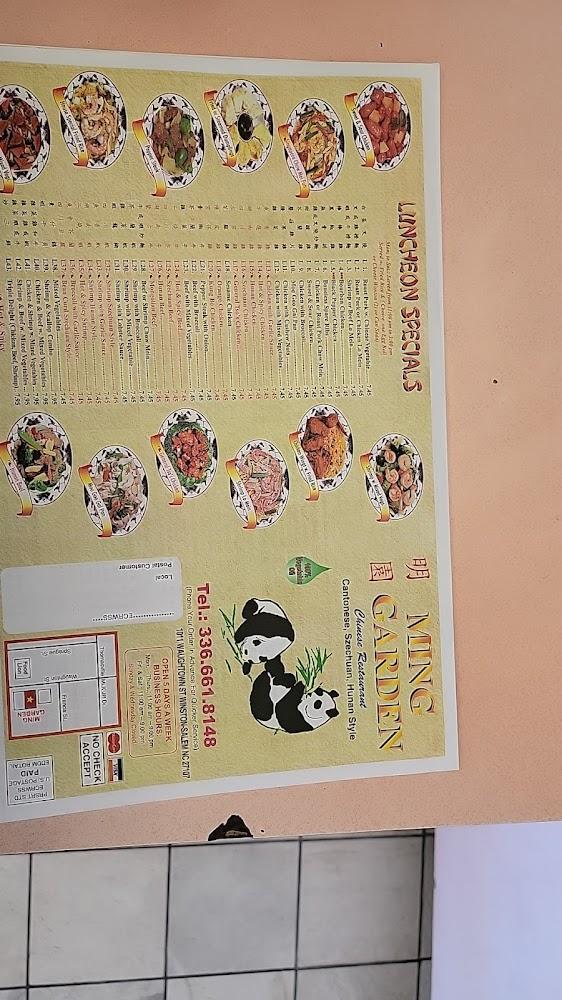 Ming Garden Chinese 叉或雞撈麵
